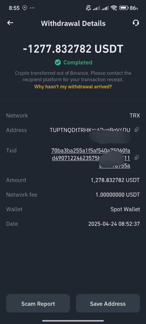 Investor Payment 3
