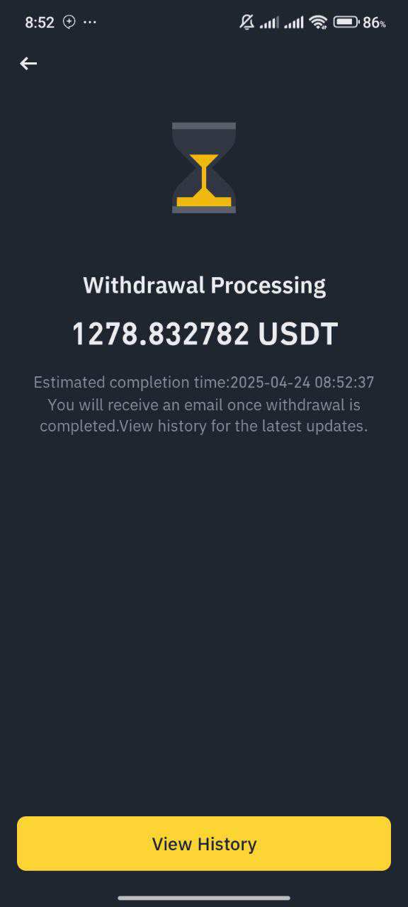 Investor Payment 3