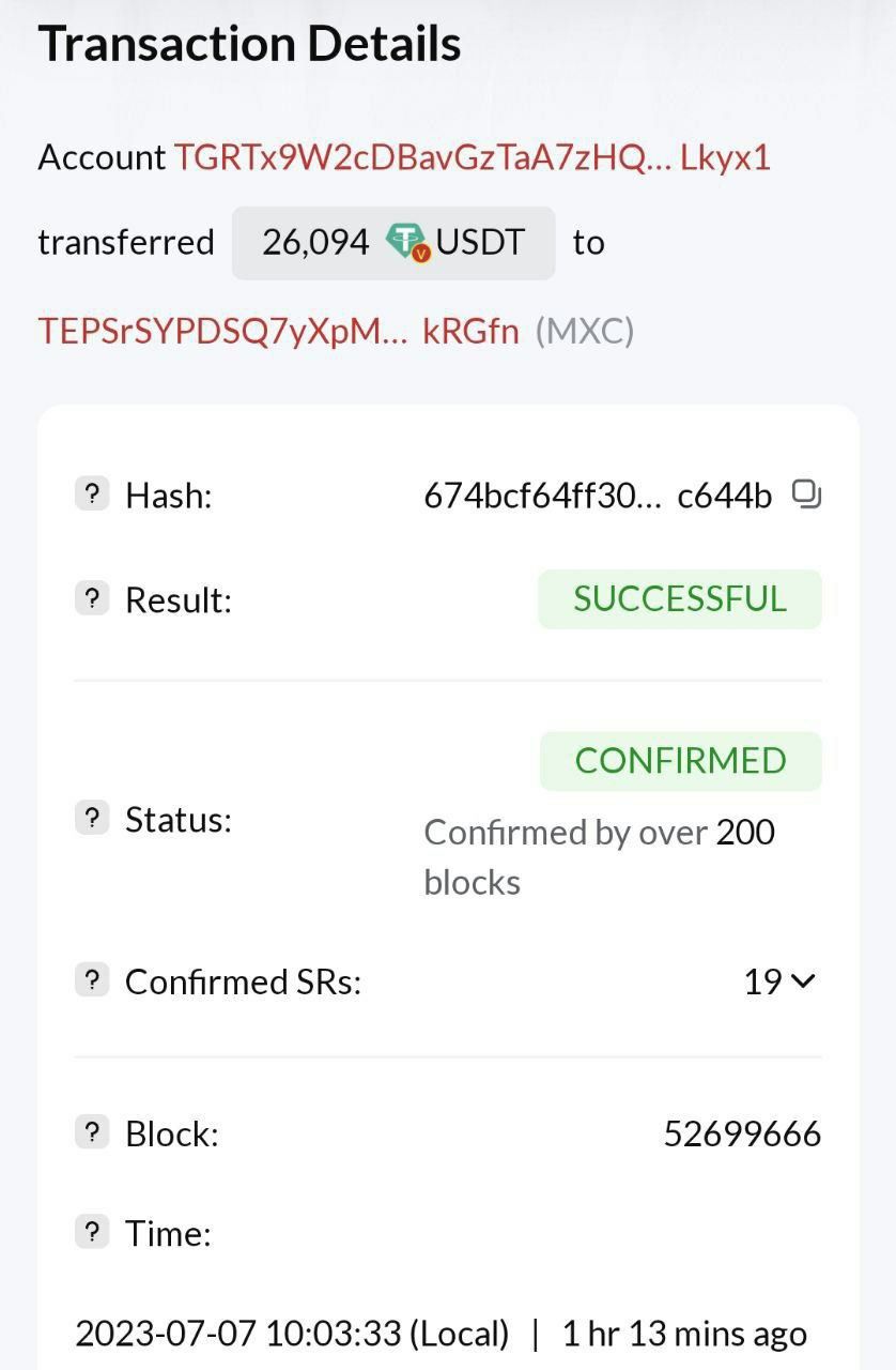 Investor Payment 2