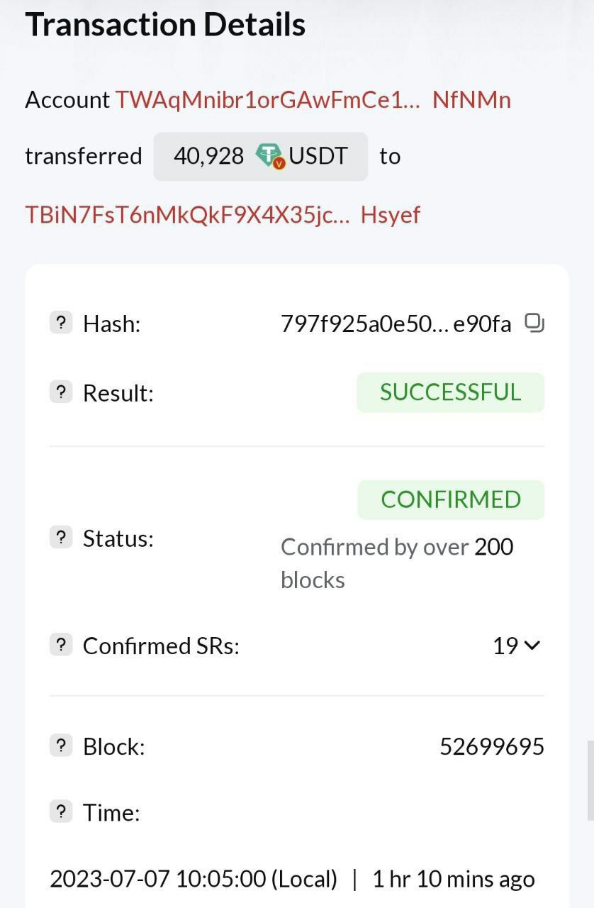 Investor Payment 3