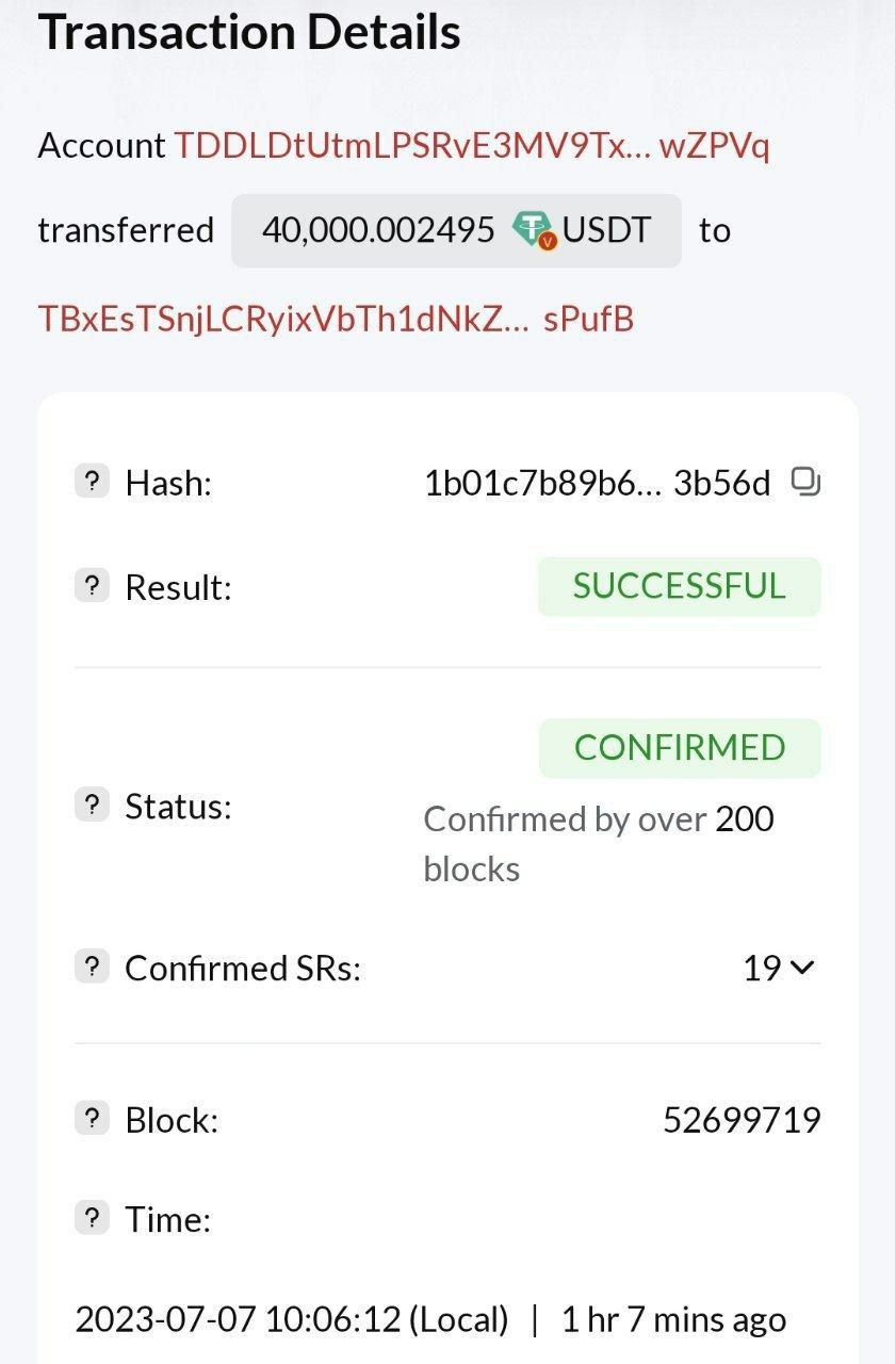 Investor Payment 3