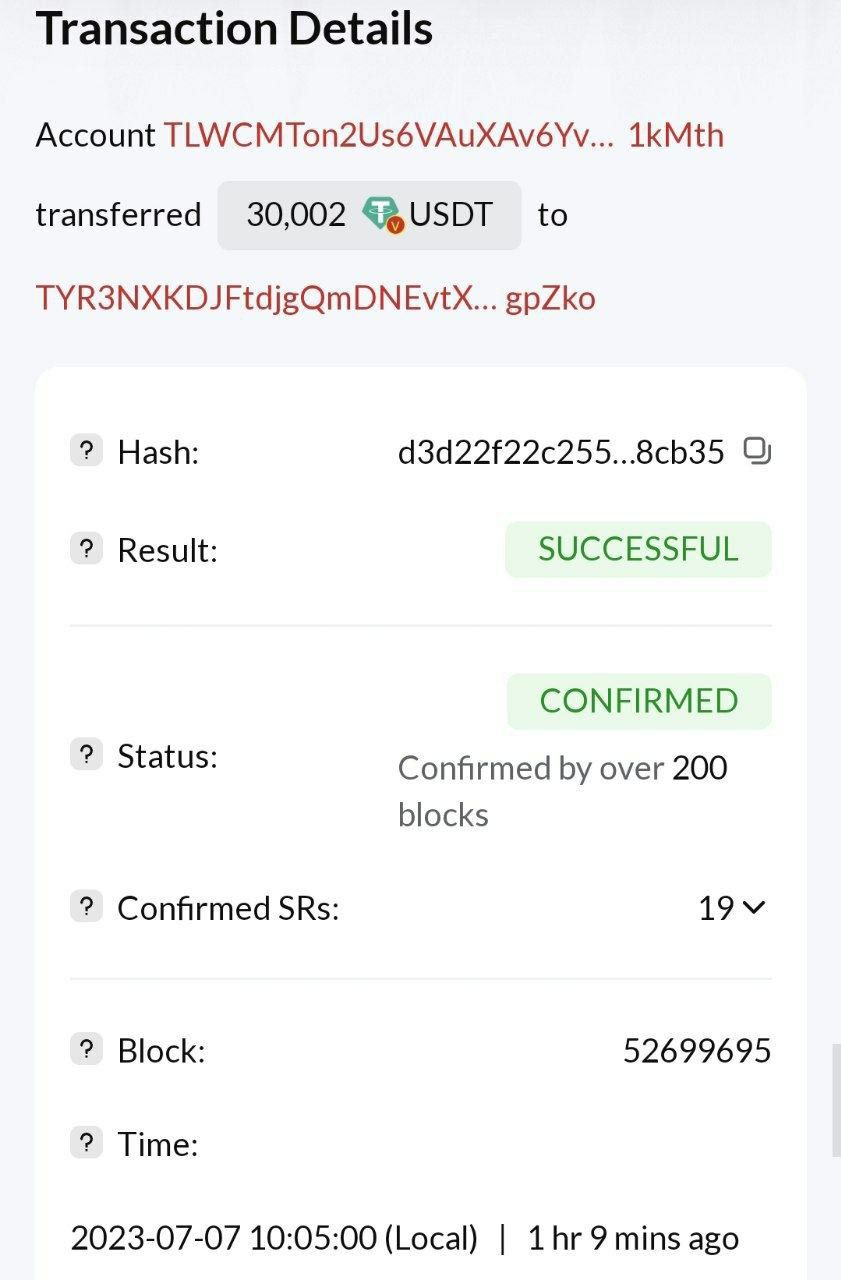 Investor Payment 3