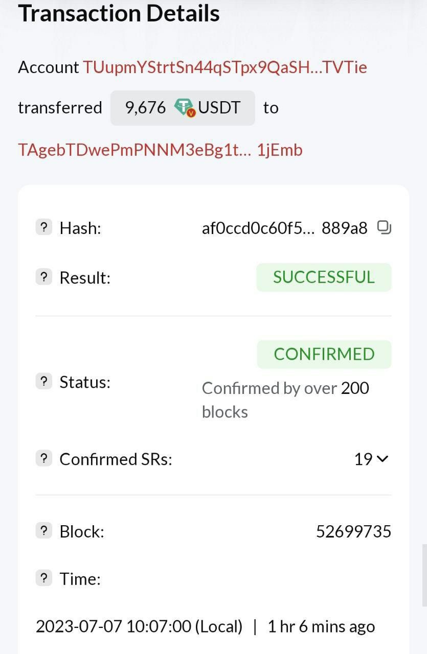 Investor Payment 3