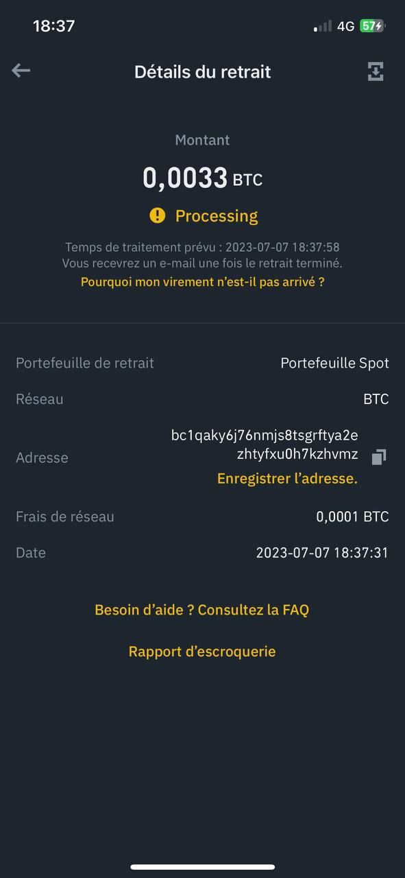 Investor Payment 3